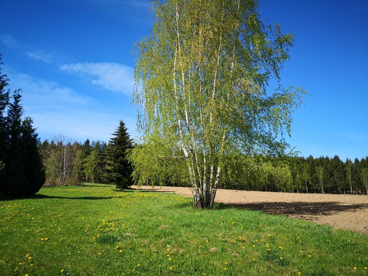 Ferienwohnungen 1 Bis 4 "Pumphut'S Scheune" Lengenfeld  Exteriér fotografie